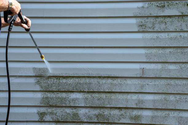 Best Storm Damage Siding Repair  in Preston, TX