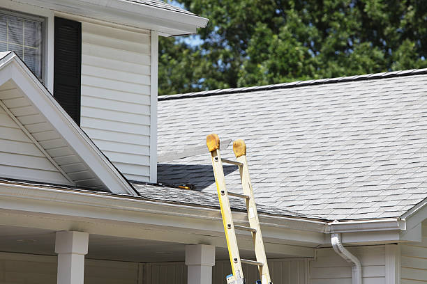 Best Storm Damage Siding Repair  in Preston, TX