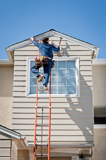 Best Siding Painting and Refinishing  in Preston, TX