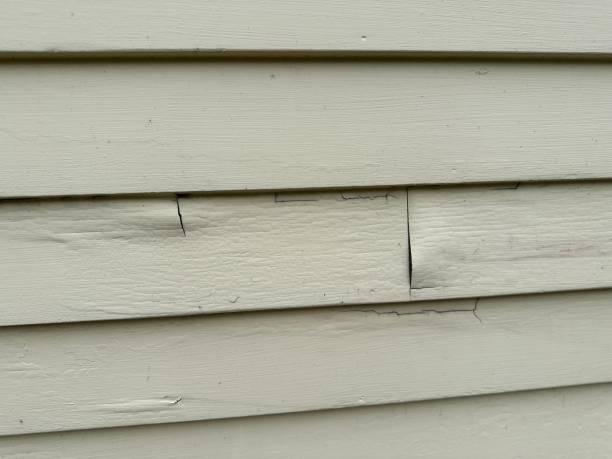 Best Custom Trim and Detailing for Siding  in Preston, TX