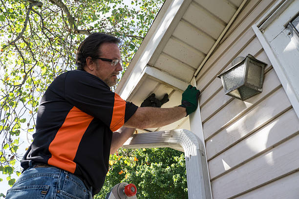 Best Brick Veneer Siding  in Preston, TX